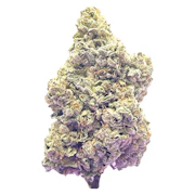 Royal Dive #7: Scarface OG | 14g | HighXotic
