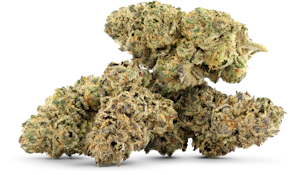 CHERRY POP TARTZ