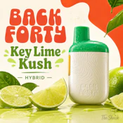 Key Lime Kush 0.95g Disposable Vape - Back Forty