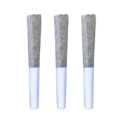3 x 0.5g Permanent Chapo Pre-Rolls