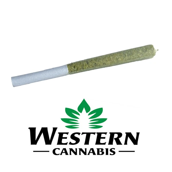 WESTERN CANNABIS - ORANGE CREAMSICLE 1X0.5G Main Image