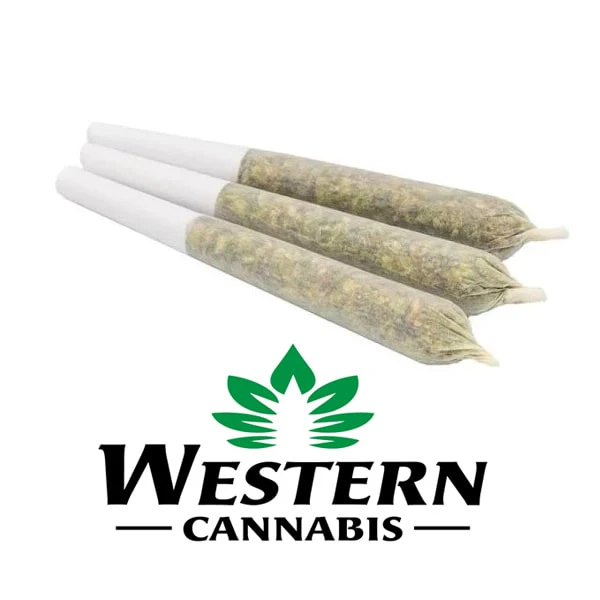 WESTERN CANNABIS - GLAZED SCOUT COOKIES 3X0.5G Main Image