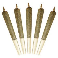 Buddy Blooms - Big Buddy Sativa 5 x 1g Pre-Rolls Main Image