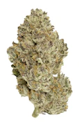 Golden Pineapple 7g Dried Flower by Choklit Park