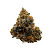 Platinum Dosi 3.5