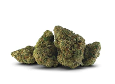Cherry Tang - 3.5g