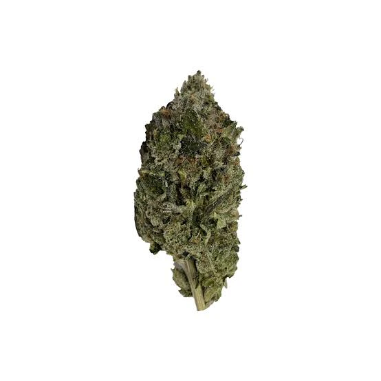 Salt Spring Magic - Timmy's OG Shark 3.5g Main Image