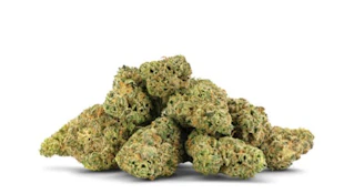 Purple Urkle x Face Off OG Smalls - 3.5