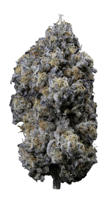 Sweetgrass Organic Cannabis - Pine Mentz Petites 3.5g Main Image