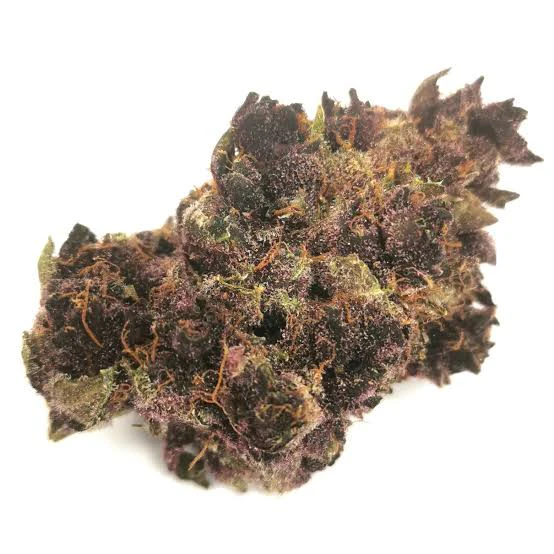 Orchard - Tropical Cherry 7g Main Image