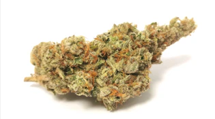Pucker Up - 14g