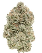 Autum Mist 3.5g Dried Flower