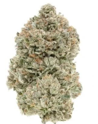 Puffer's Paradise - Autum Mist 3.5g Dried Flower Main Image