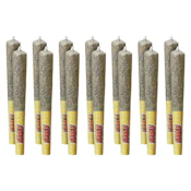 Tropic Thunder Jar of Joints Pre-Rolls 14 x 0.5g