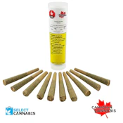 Organic Thunder Zkittlez 10 x 0.5g Pre-Rolls