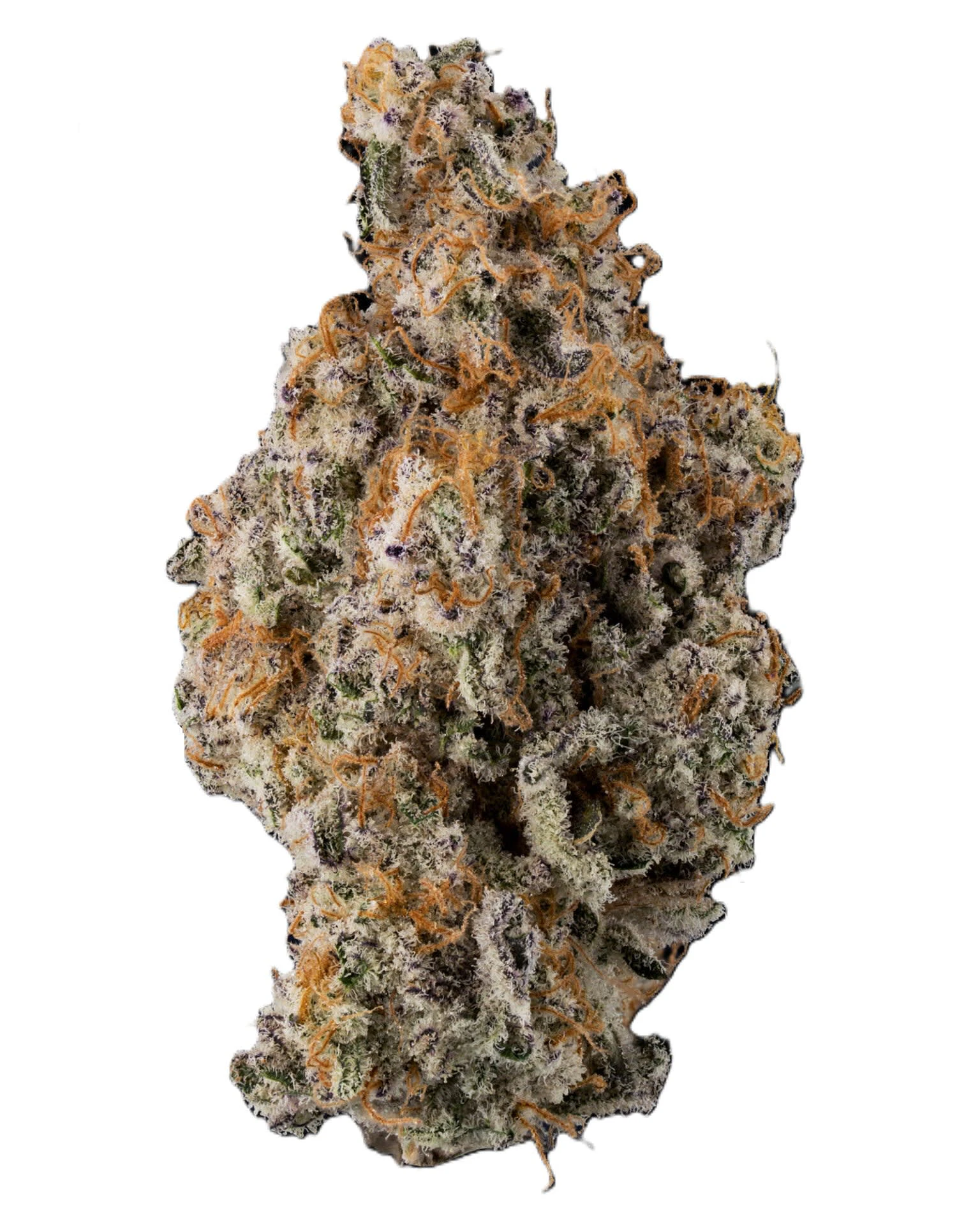 Dog Star - Miracle Alien Cookies 28g Dried Flower Main Image