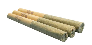 All Nations Glitter Bomb 3x0.5g Prerolls