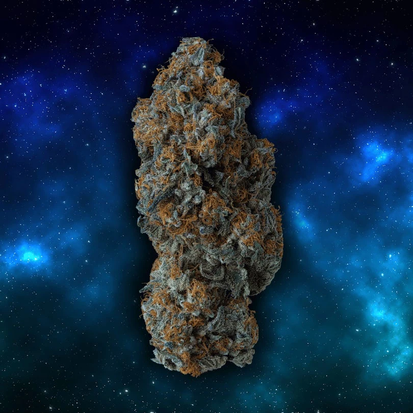 Supernova Farms - Anti Gravity 3.5g Dried Flower by Supernova Farms Main Image