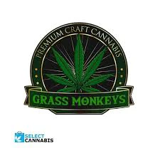 GRASS MONKEYS PREMIUM CRAFT CANNABIS - Peanut Butter Breath 5 x 0.5g Pre-Rolls Main Image