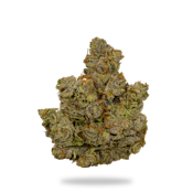 Canal St. Runtz 28g Premium Dried Flower - Dog Star