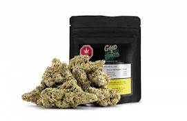 MOBY DICK - 14G