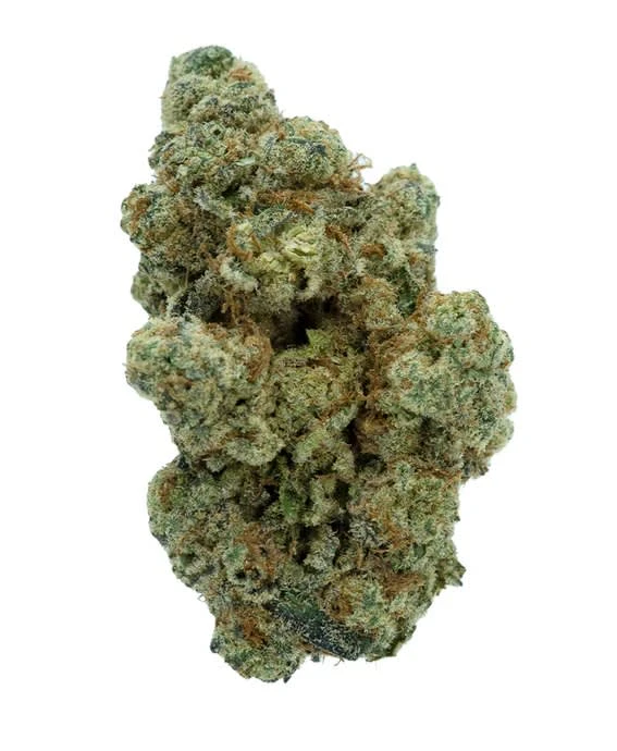 All Nations - GLITTER BOMB - 3.5 GRAMS Main Image