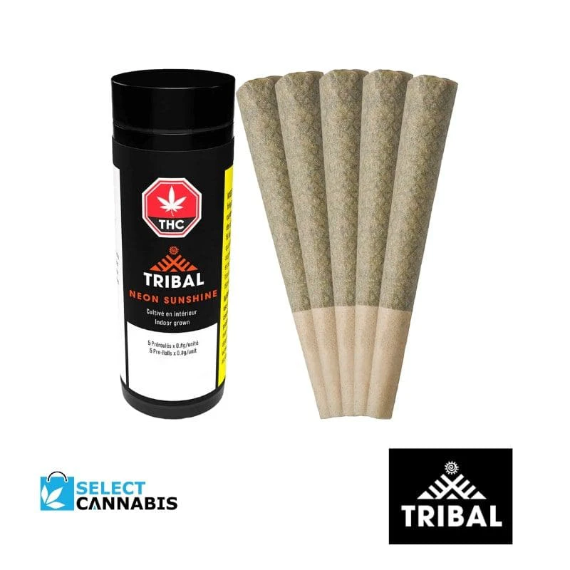 Tribal - NEON SUNSHINE 0.5G 5PK PRE-ROLLS Main Image