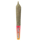 TRIPPY STIX DBL DIAMOND BLEND INFUSED 1G SINGLE PRE-ROLLS (WATERMELON DRIP)