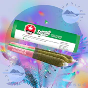TROPICAL PACK - SPINACH - 3X0.5G