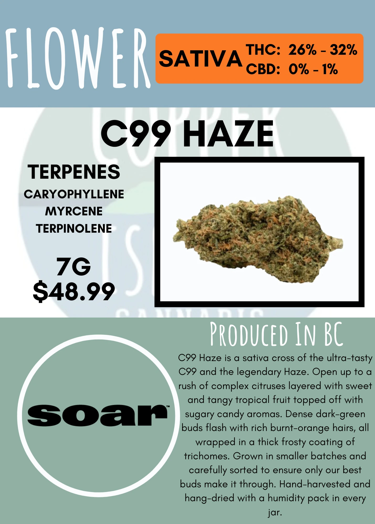 Soar - 7G - SOAR - C99 HAZE Main Image