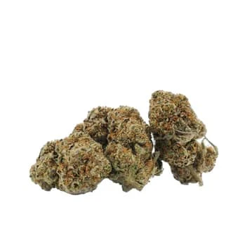 BUZZ - ZOMBIE KUSH 14G FLOWER Main Image