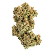 ACAPULCO GOLD 14G