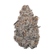 West Coast Gas Exotics 7g La Guava