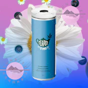 BLUEBERRY CHAMOMILE TEA - TEAPOT - 10MG
