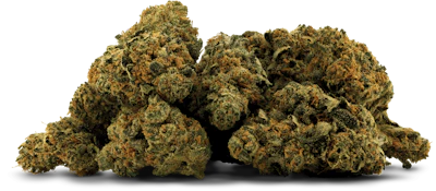 Good & Baked | Zero Tolerance | 14 g