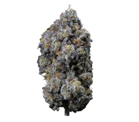 Sweetgrass - Pine Mentz Petites (3.5g)