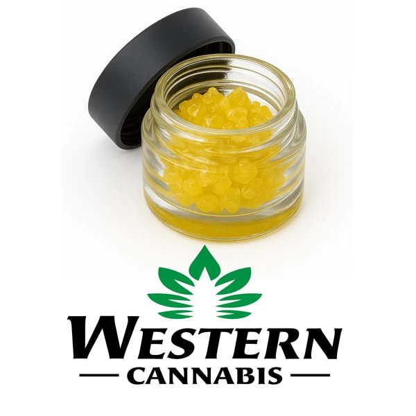WESTERN CANNABIS - CARNIVAL APPLE CAVIAR 1G Main Image