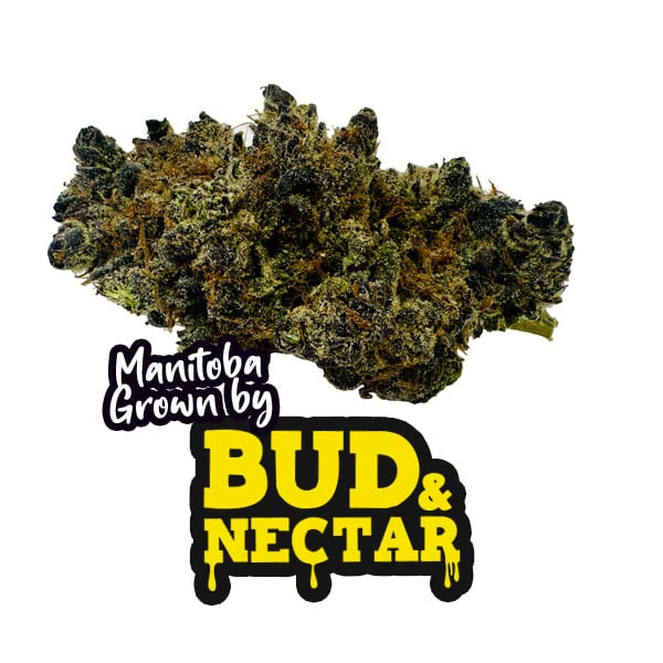 BUD AND NECTAR - FORBIDDEN BLUEPRINT 3.5G Main Image