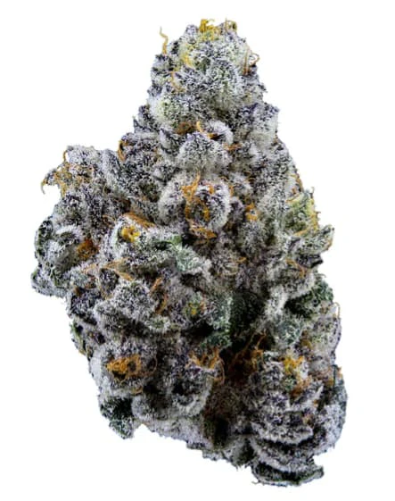 Sweetgrass Organic Cannabis - LIMELIGHT FLOWER PETITES - 14g Main Image