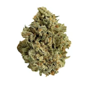 BC Organic Hibachi Blue 7G - Simply Bare