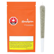 Tiger Berry 3 x 0.5g Infused Pre-Rolls by Lamplighter