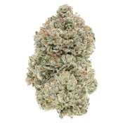 1964 - Stinky Pinky - Indica - 7g