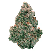 Back Forty - Liquid Imagination - Hybrid - 14g