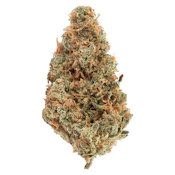 Bud Lafleur - Ak-47 - Sativa - 3.5g