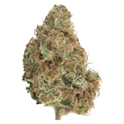 Bud Lafleur - Mymosa - Sativa - 3.5g