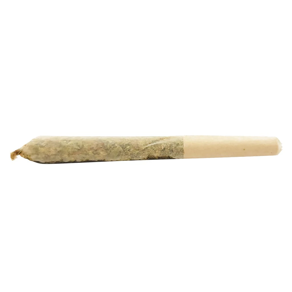 Dab Bods - Dab Bods - Blueberry Resin Infused Pre-Roll - Hybrid - 3x0.5g Main Image
