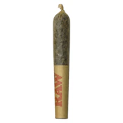 Dab Bods - Pink Frozay Resin Infused Pre-Roll - Hybrid - 1x0.5g