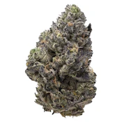 Pistol and Paris - Permanent Chapo - Indica - 7g