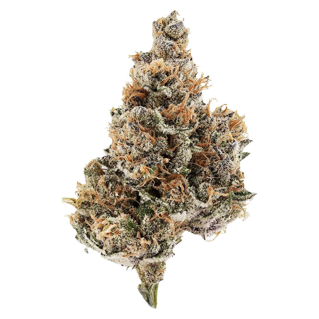 Potluck - Potluck - Raspberry Runtz - Indica - 7g Main Image