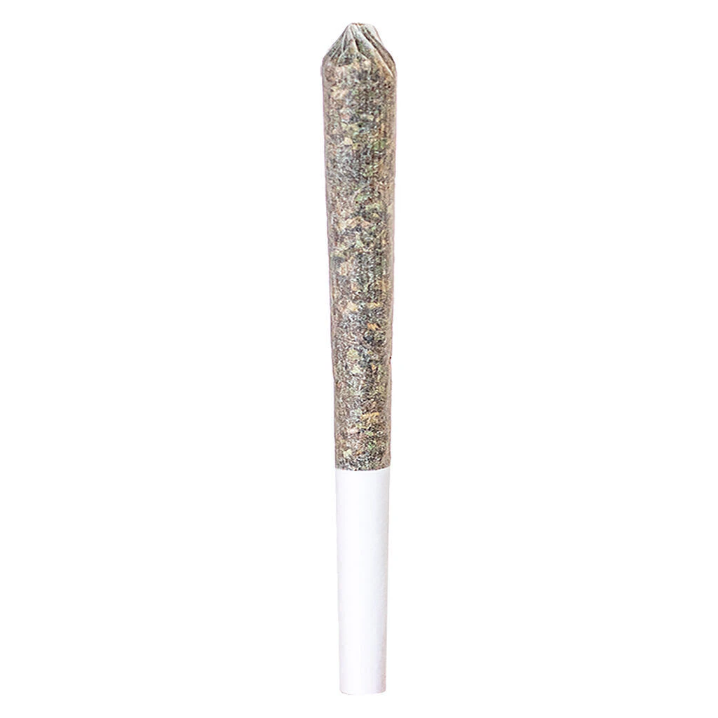 Station House - Station House - Ghost Train Haze Express Train Single Infused Pre-Roll - Sativa - 1x0.5g Main Image